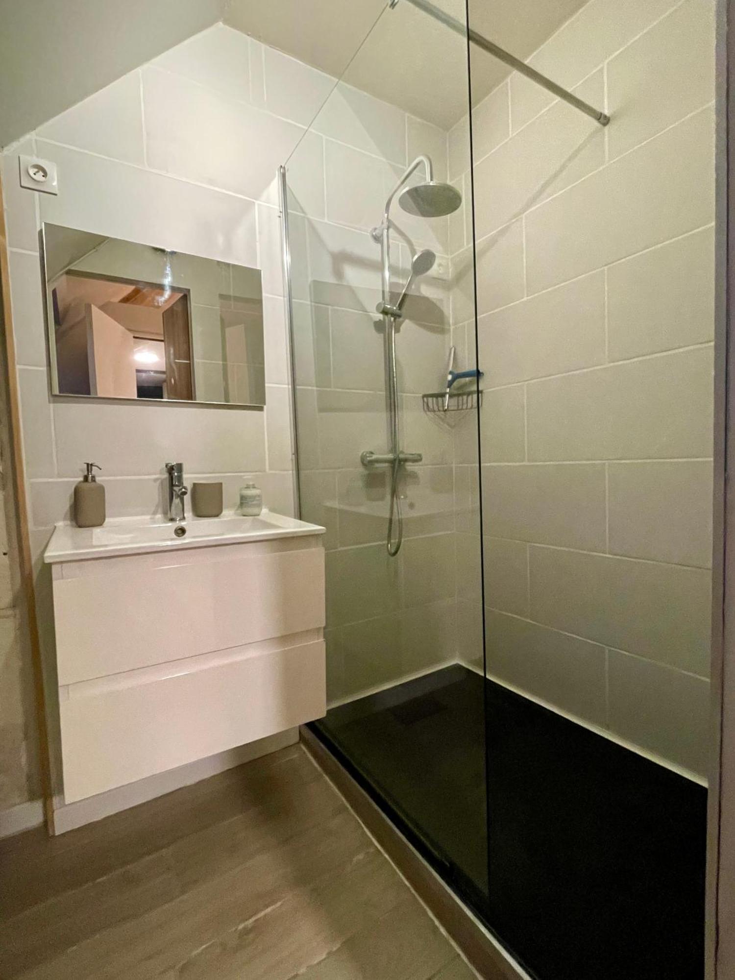 Appartement L'escale - Maison Avec Jardin - 4min Du Zoo De Beauval Saint-Aignan (Loir-et-Cher)